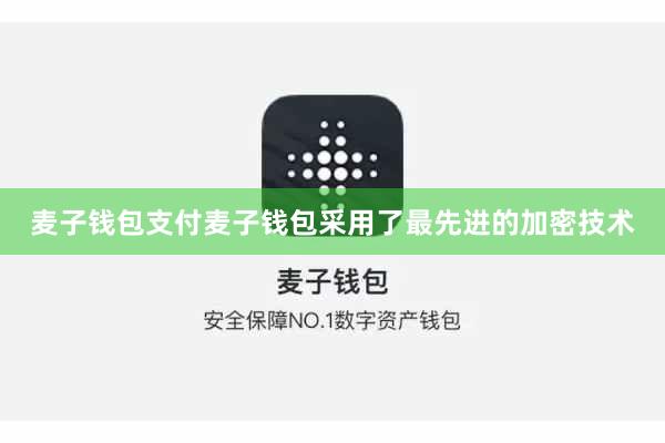 麦子钱包支付麦子钱包采用了最先进的加密技术