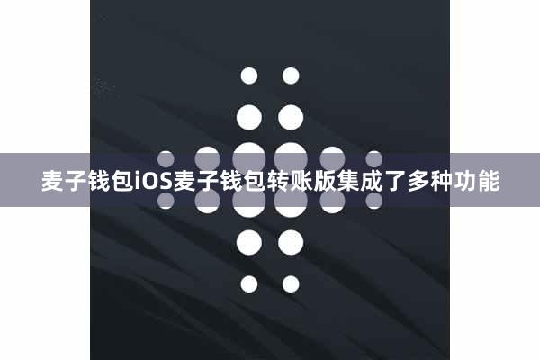 麦子钱包iOS麦子钱包转账版集成了多种功能