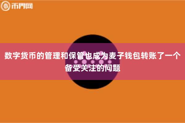 数字货币的管理和保管也成为麦子钱包转账了一个备受关注的问题