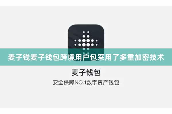 麦子钱麦子钱包跨境用户包采用了多重加密技术