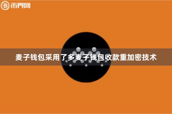 麦子钱包采用了多麦子钱包收款重加密技术