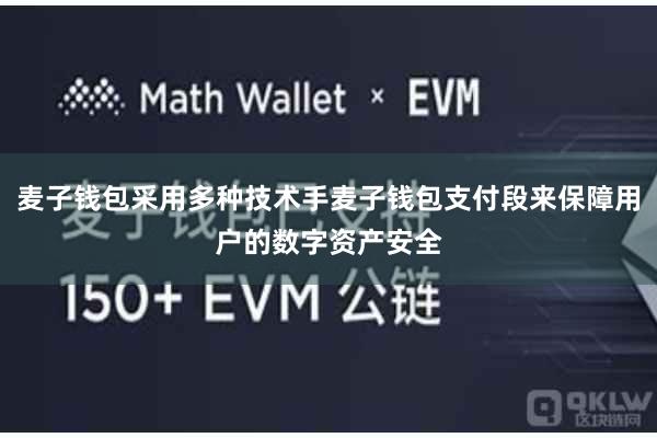 麦子钱包采用多种技术手麦子钱包支付段来保障用户的数字资产安全