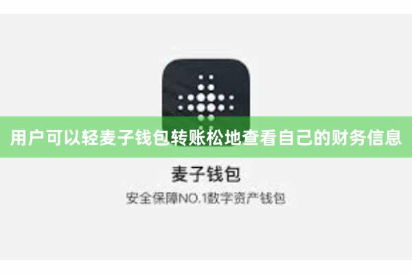 用户可以轻麦子钱包转账松地查看自己的财务信息