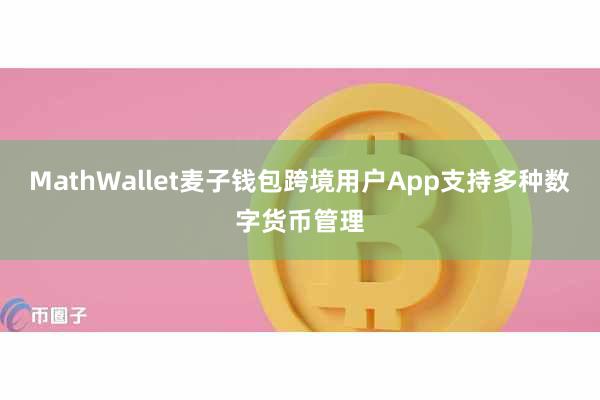 MathWallet麦子钱包跨境用户App支持多种数字货币管理