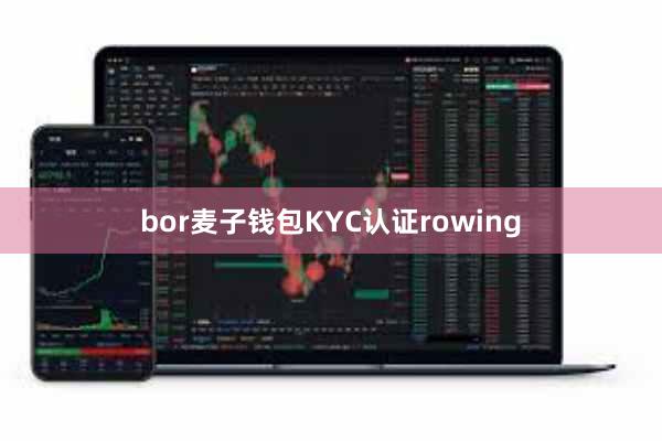 bor麦子钱包KYC认证rowing