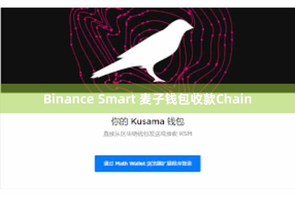 Binance Smart 麦子钱包收款Chain