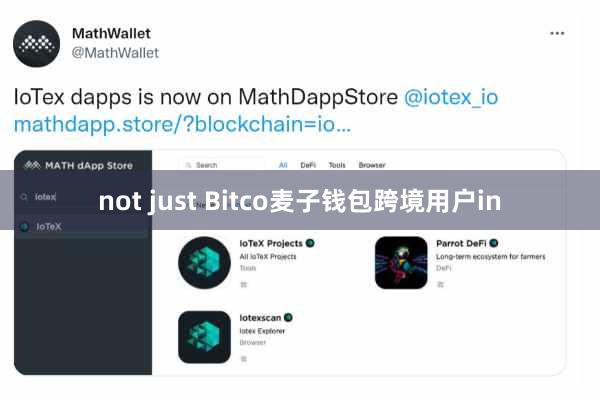 not just Bitco麦子钱包跨境用户in