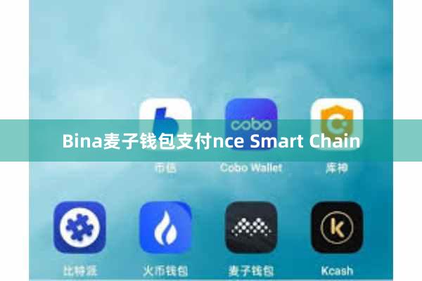 Bina麦子钱包支付nce Smart Chain