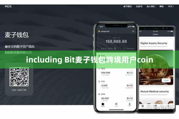 including Bit麦子钱包跨境用户coin