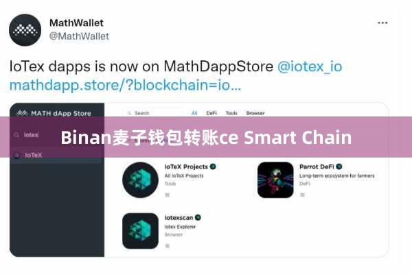 Binan麦子钱包转账ce Smart Chain