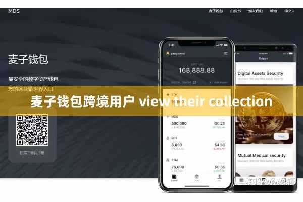 麦子钱包跨境用户 view their collection