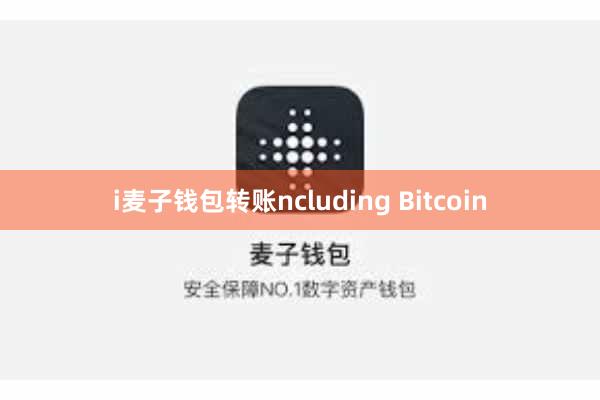 i麦子钱包转账ncluding Bitcoin