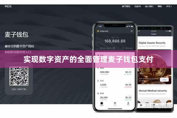 实现数字资产的全面管理麦子钱包支付