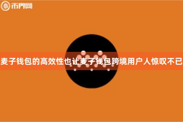 麦子钱包的高效性也让麦子钱包跨境用户人惊叹不已