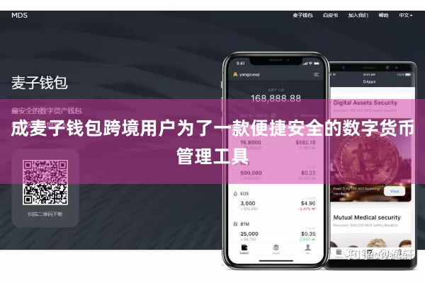 成麦子钱包跨境用户为了一款便捷安全的数字货币管理工具
