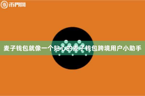 麦子钱包就像一个贴心的麦子钱包跨境用户小助手