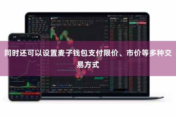 同时还可以设置麦子钱包支付限价、市价等多种交易方式