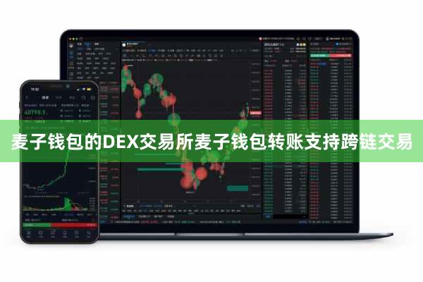 麦子钱包的DEX交易所麦子钱包转账支持跨链交易
