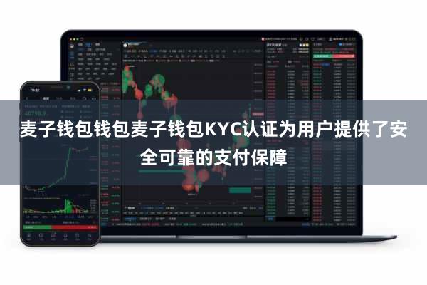 麦子钱包钱包麦子钱包KYC认证为用户提供了安全可靠的支付保障