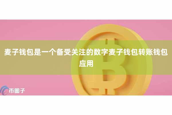 麦子钱包是一个备受关注的数字麦子钱包转账钱包应用
