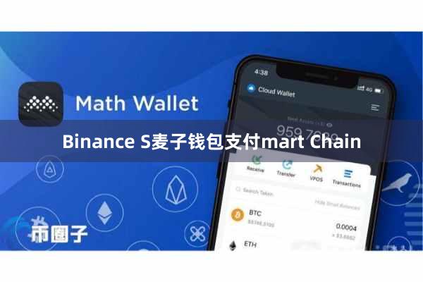 Binance S麦子钱包支付mart Chain