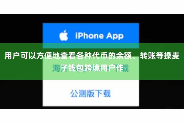 用户可以方便地查看各种代币的余额、转账等操麦子钱包跨境用户作