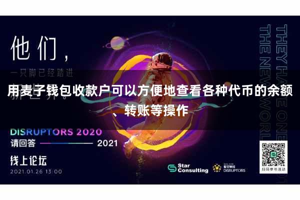 用麦子钱包收款户可以方便地查看各种代币的余额、转账等操作