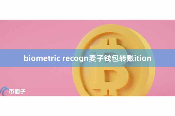 biometric recogn麦子钱包转账ition