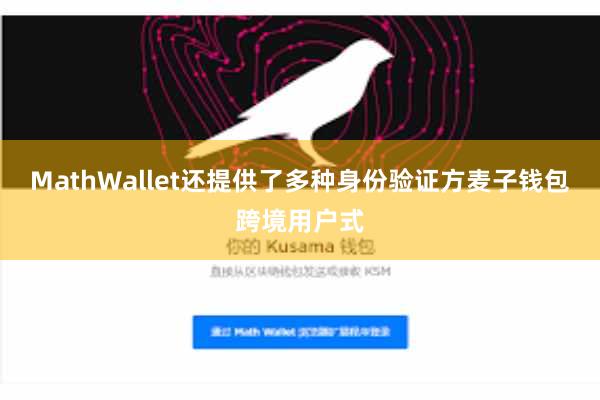 MathWallet还提供了多种身份验证方麦子钱包跨境用户式