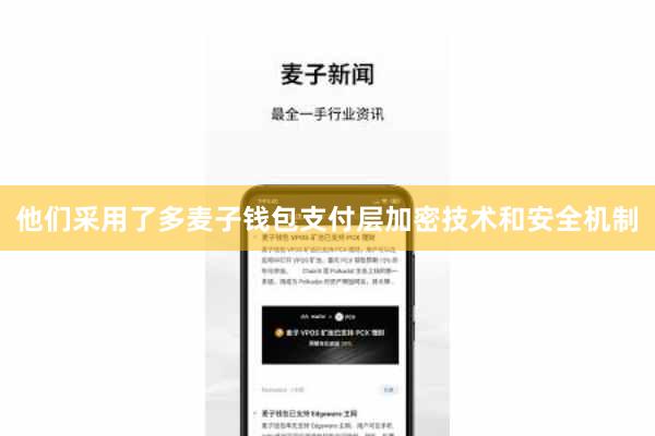 他们采用了多麦子钱包支付层加密技术和安全机制
