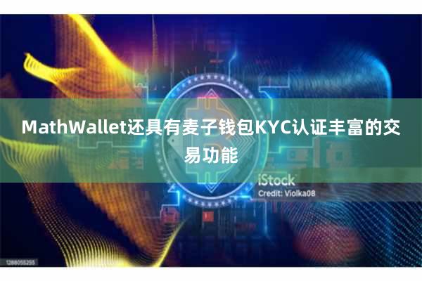 MathWallet还具有麦子钱包KYC认证丰富的交易功能